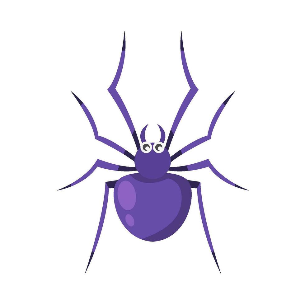 spider animal illustration vector