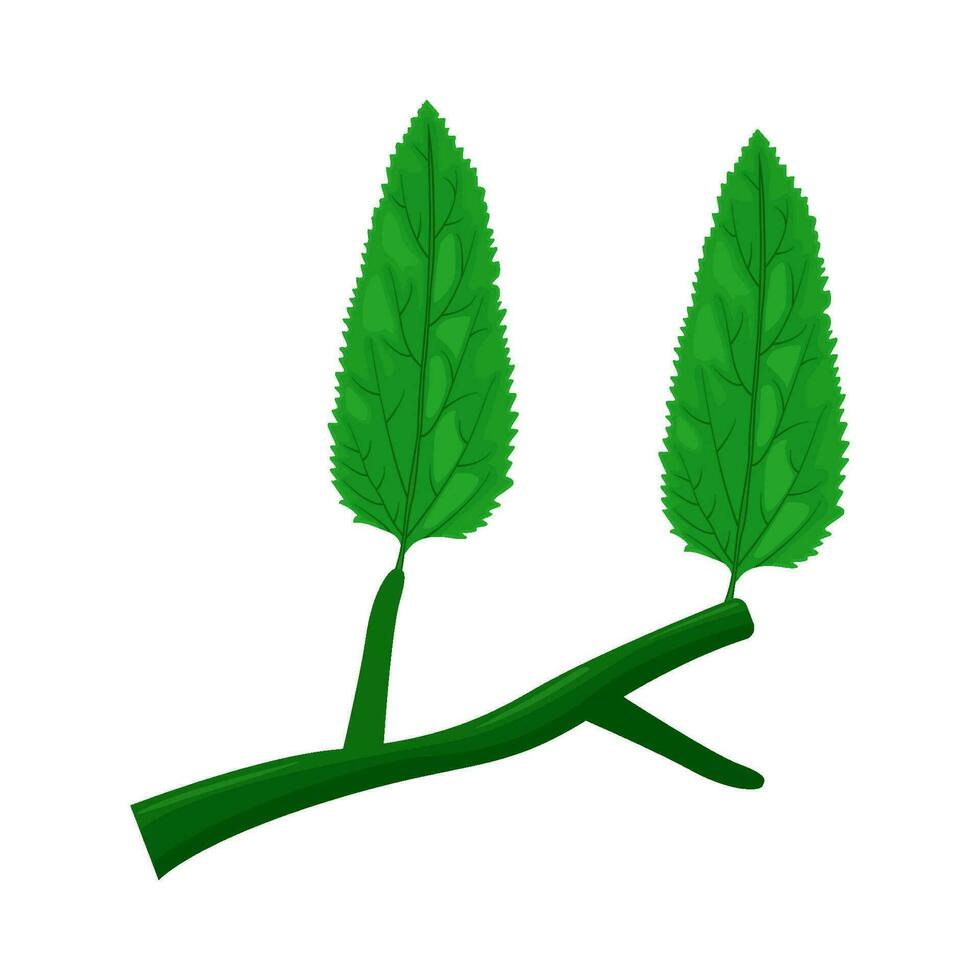 hoja verde planta ilustración vector