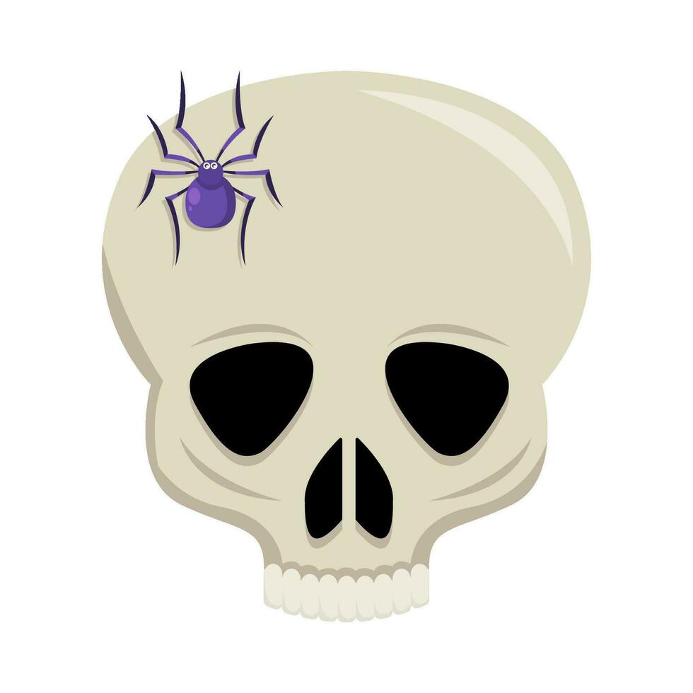 spider in skull illustration vector