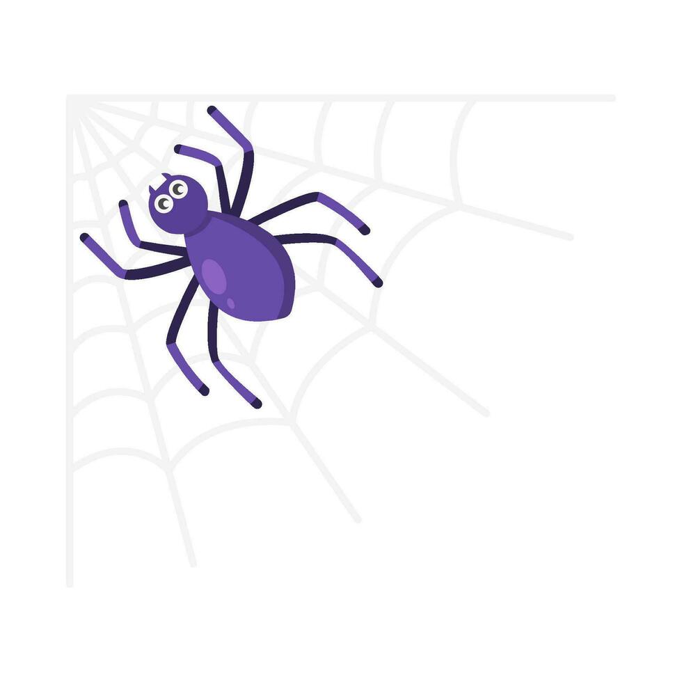 spider in spider web illustration vector