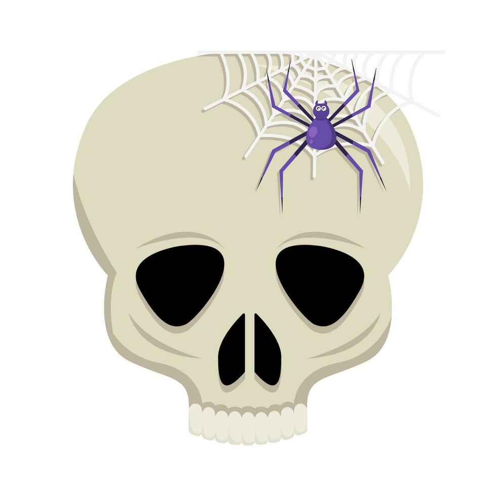 spider in spider web with in skull illustration vector