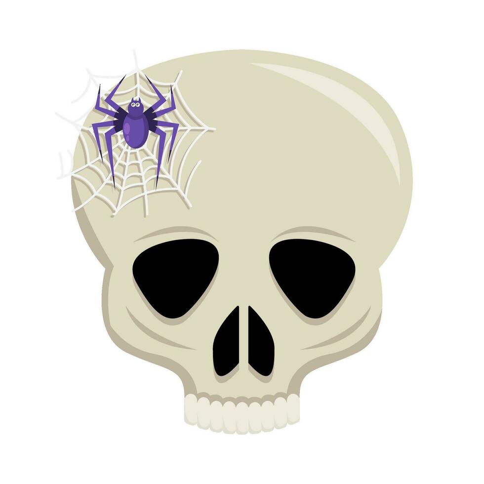spider in spider web with in skull illustration vector