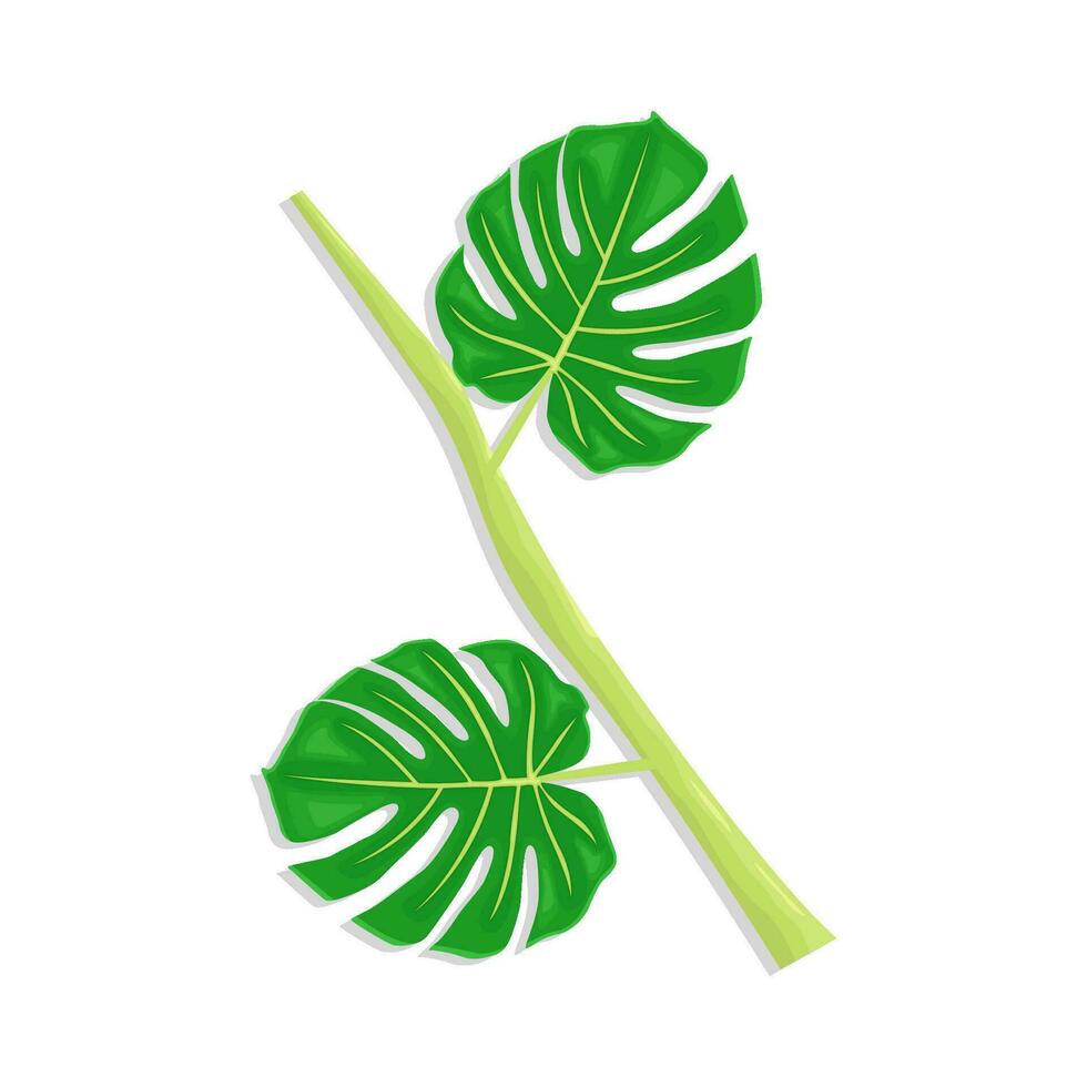 leaf plant green illustration vector