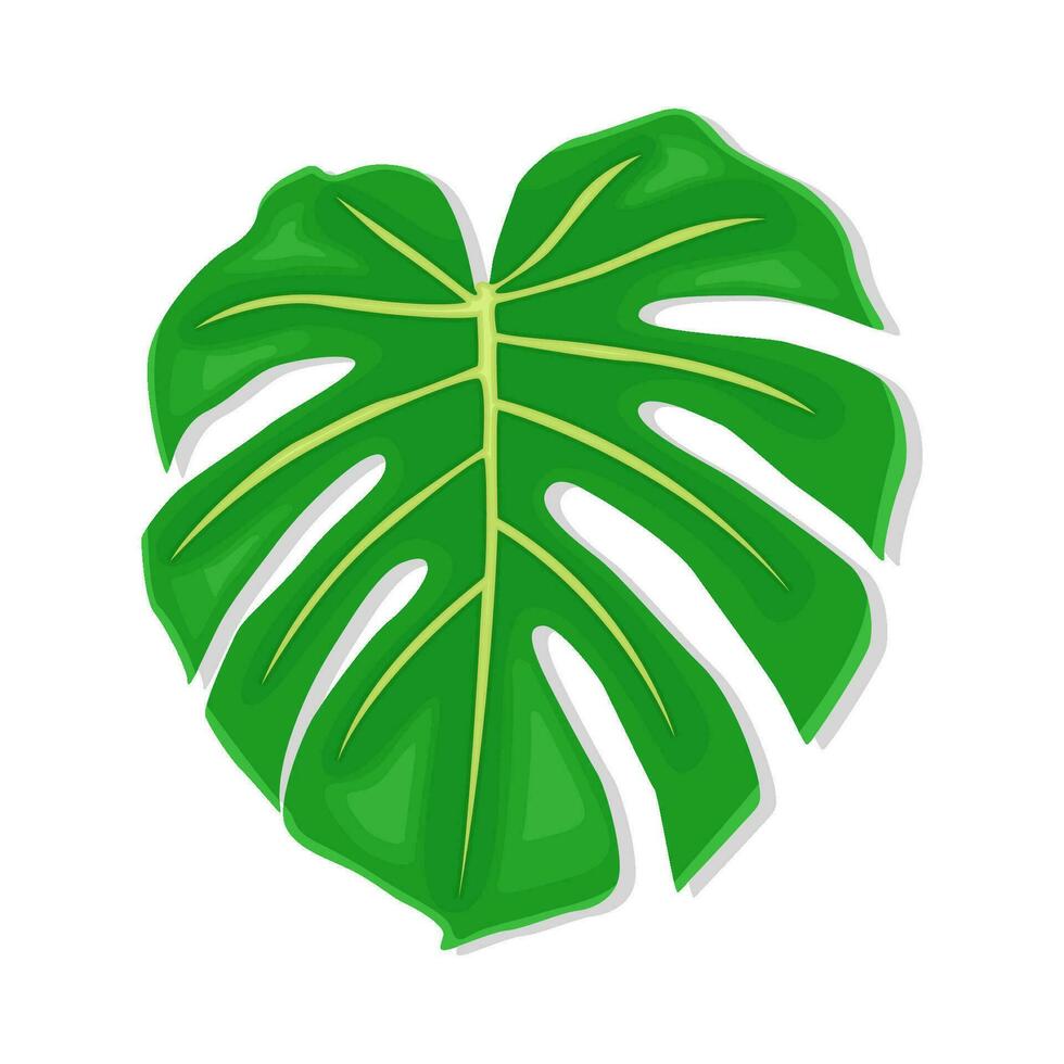 palm leaf green illustration vector