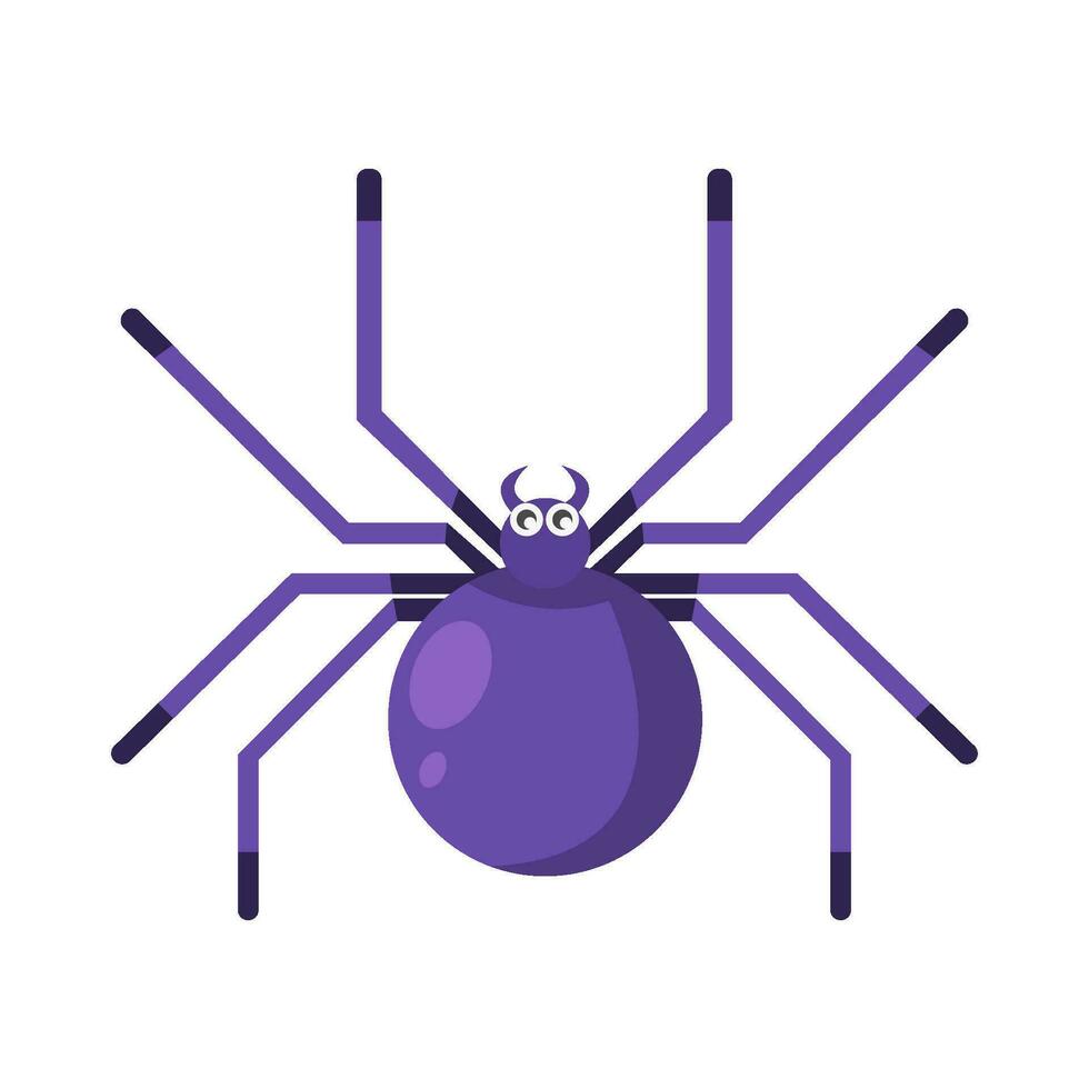 spider animal illustration vector