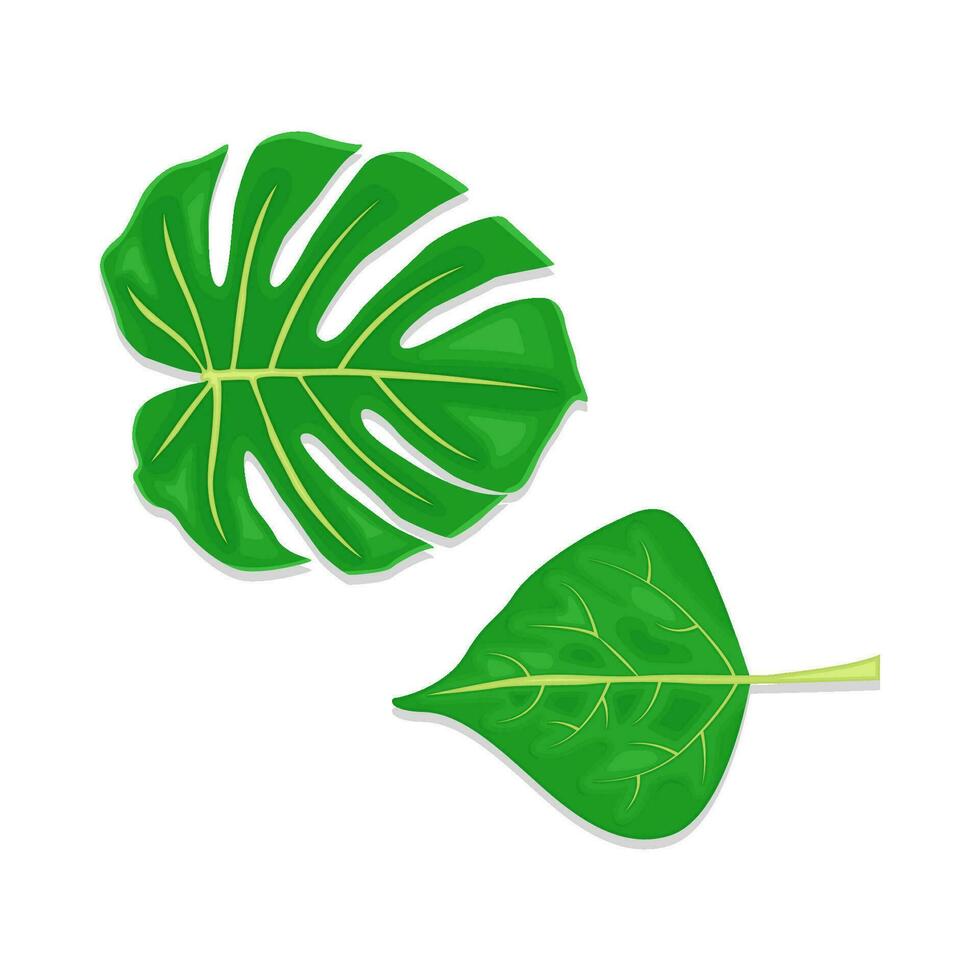 palm leaf with leaf green illustration vector