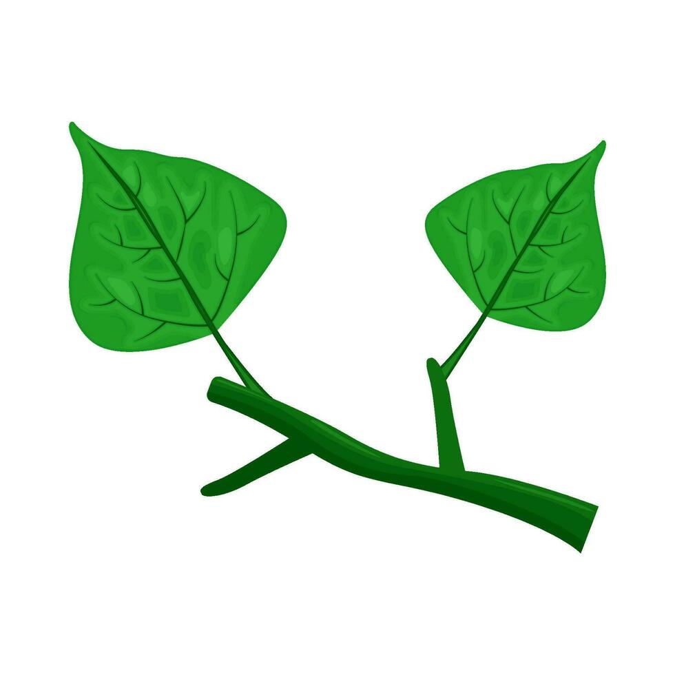 hoja verde planta ilustración vector