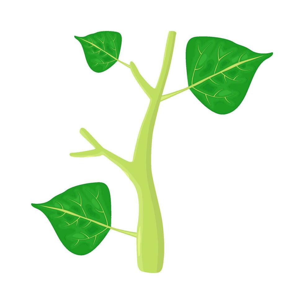 hoja planta verde ilustración vector