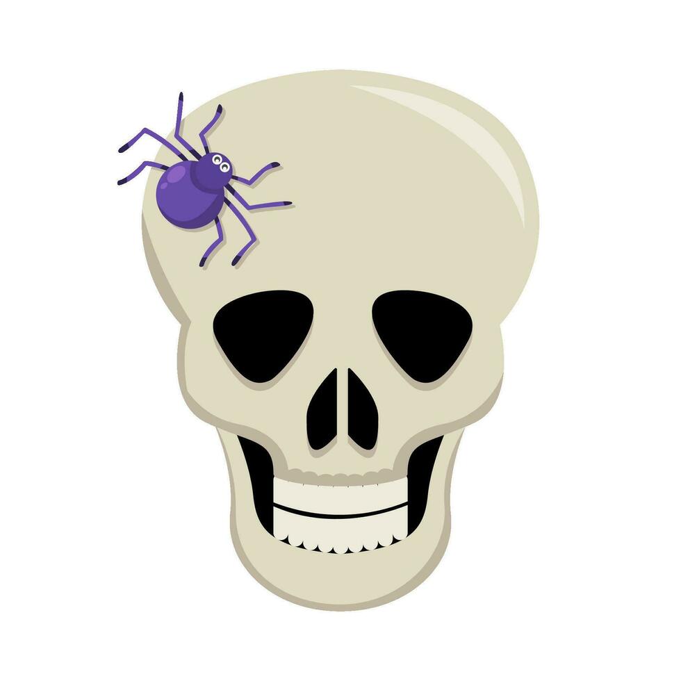 spider in skull illustration vector