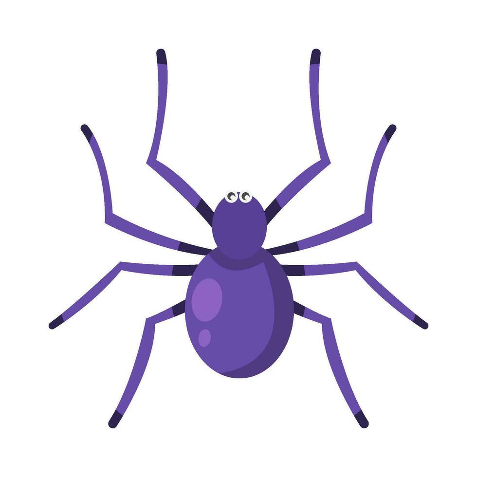 spider animal illustration vector