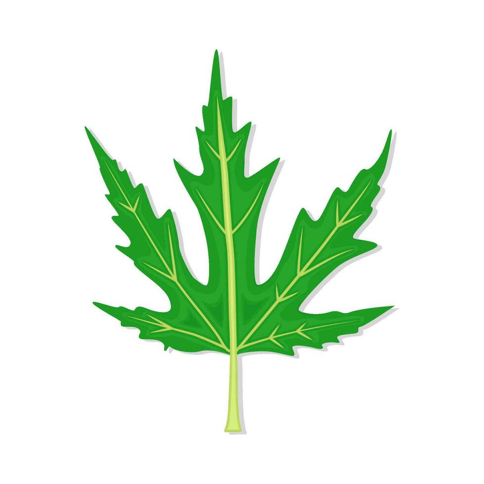 weed leaf  illustration vector