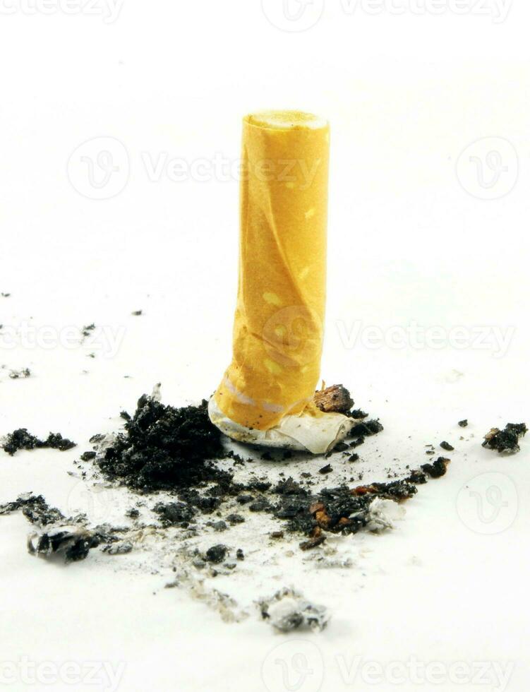 cigarette butt on white photo
