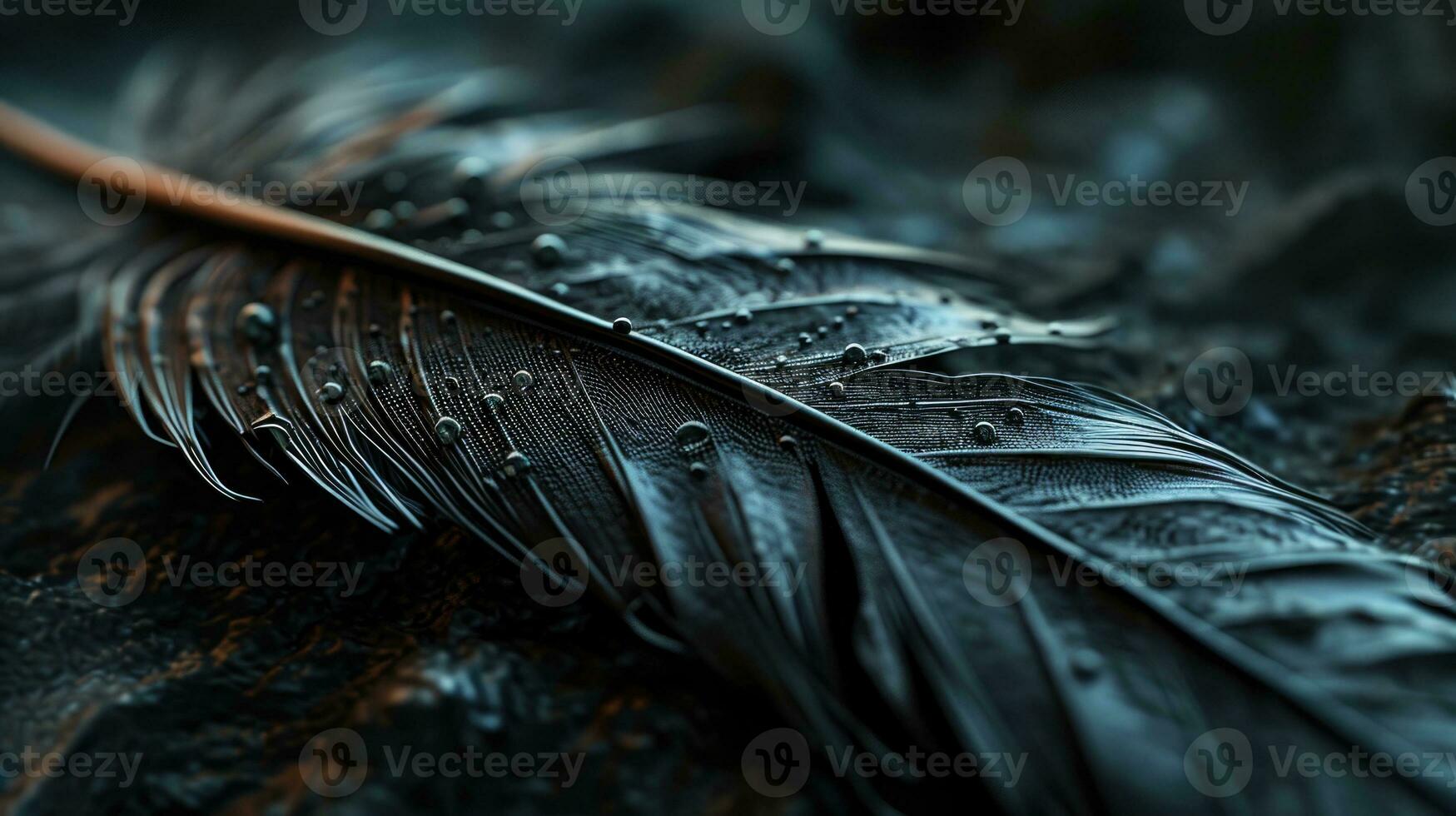 AI generated Black Feather with Water Droplets in Macro Detail photo