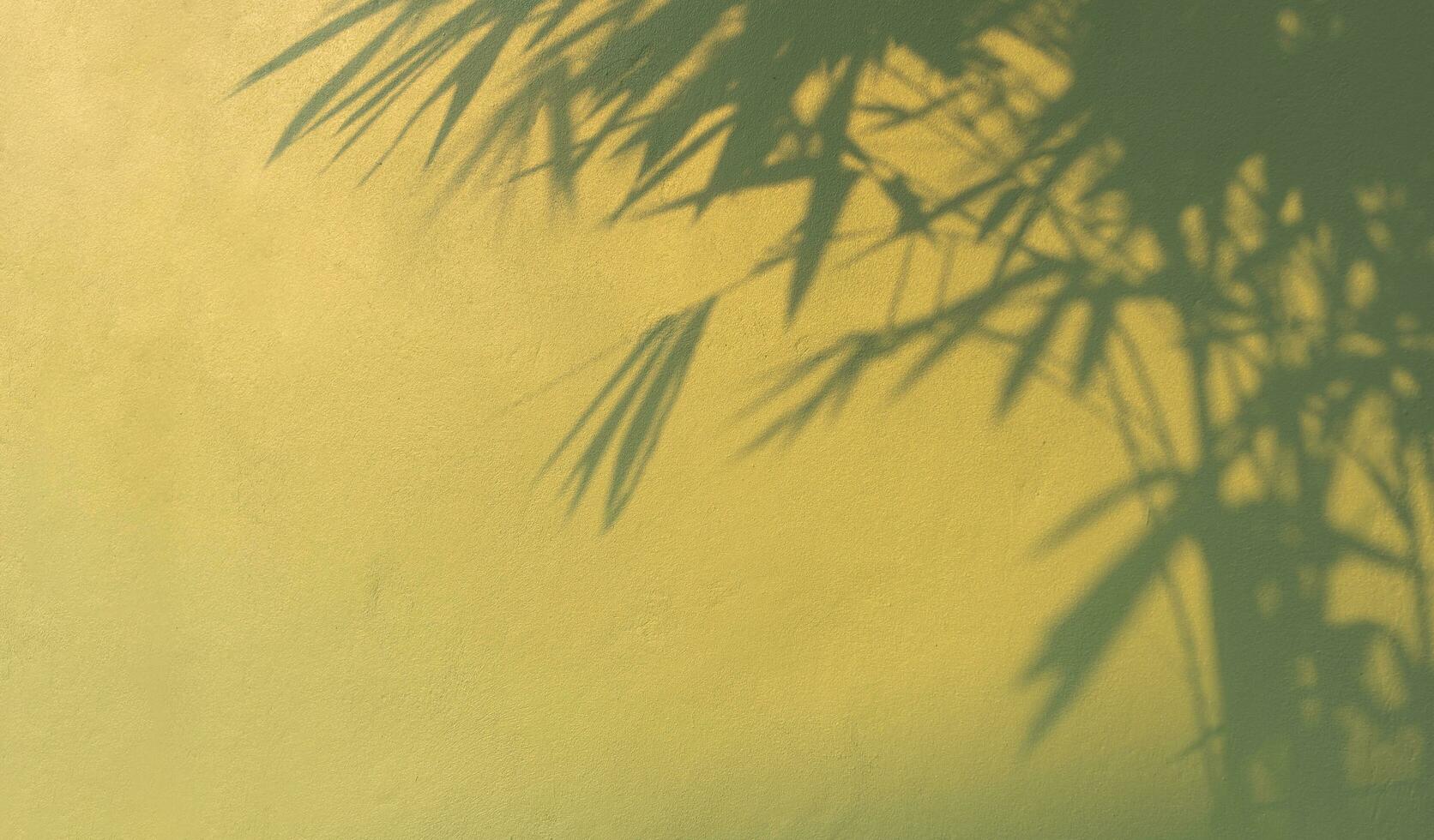 Green Concrete Wall Background with Sunlight and bamboo plant Shadow on Surface in vintage style photo