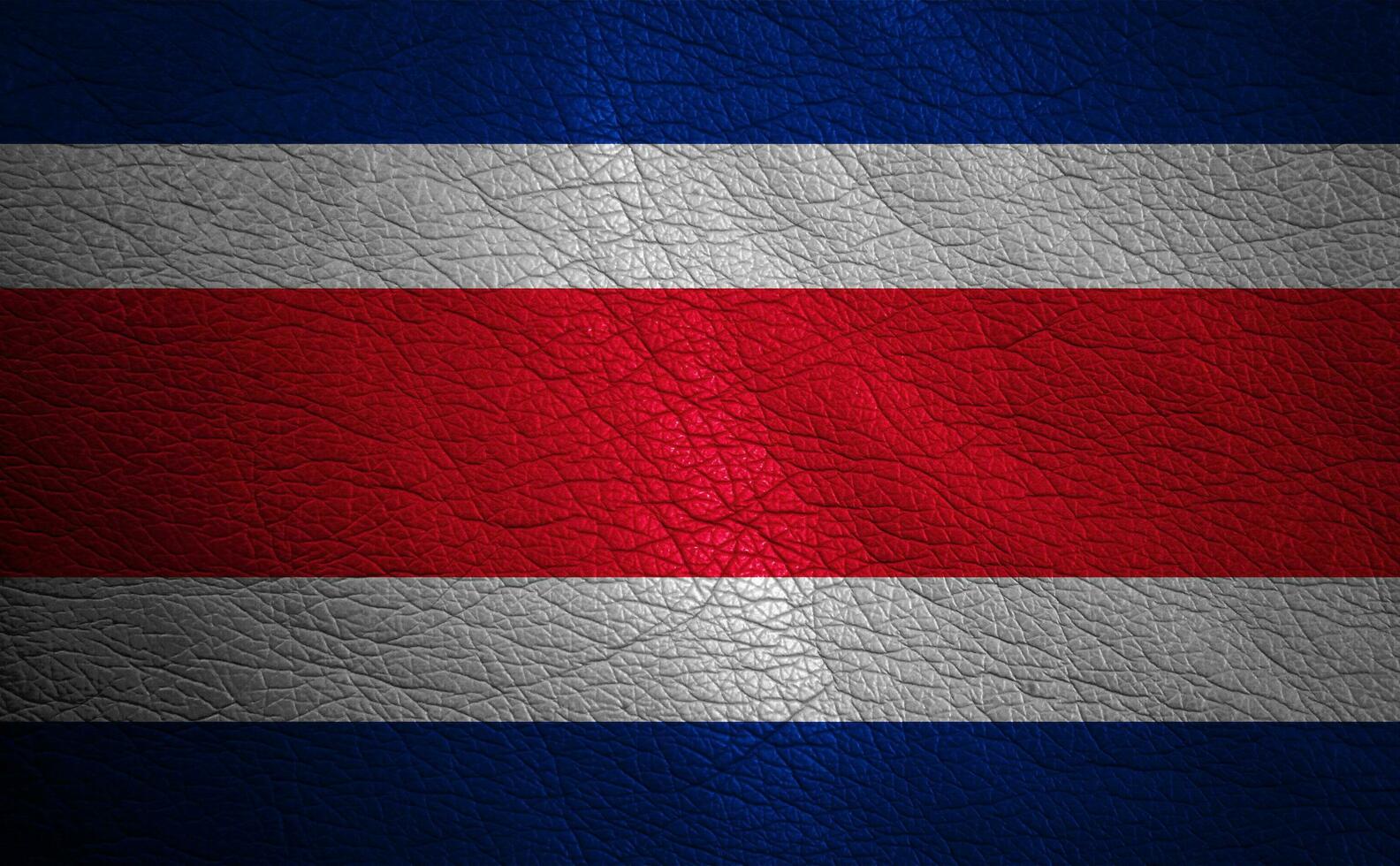 Leather textured flag photo