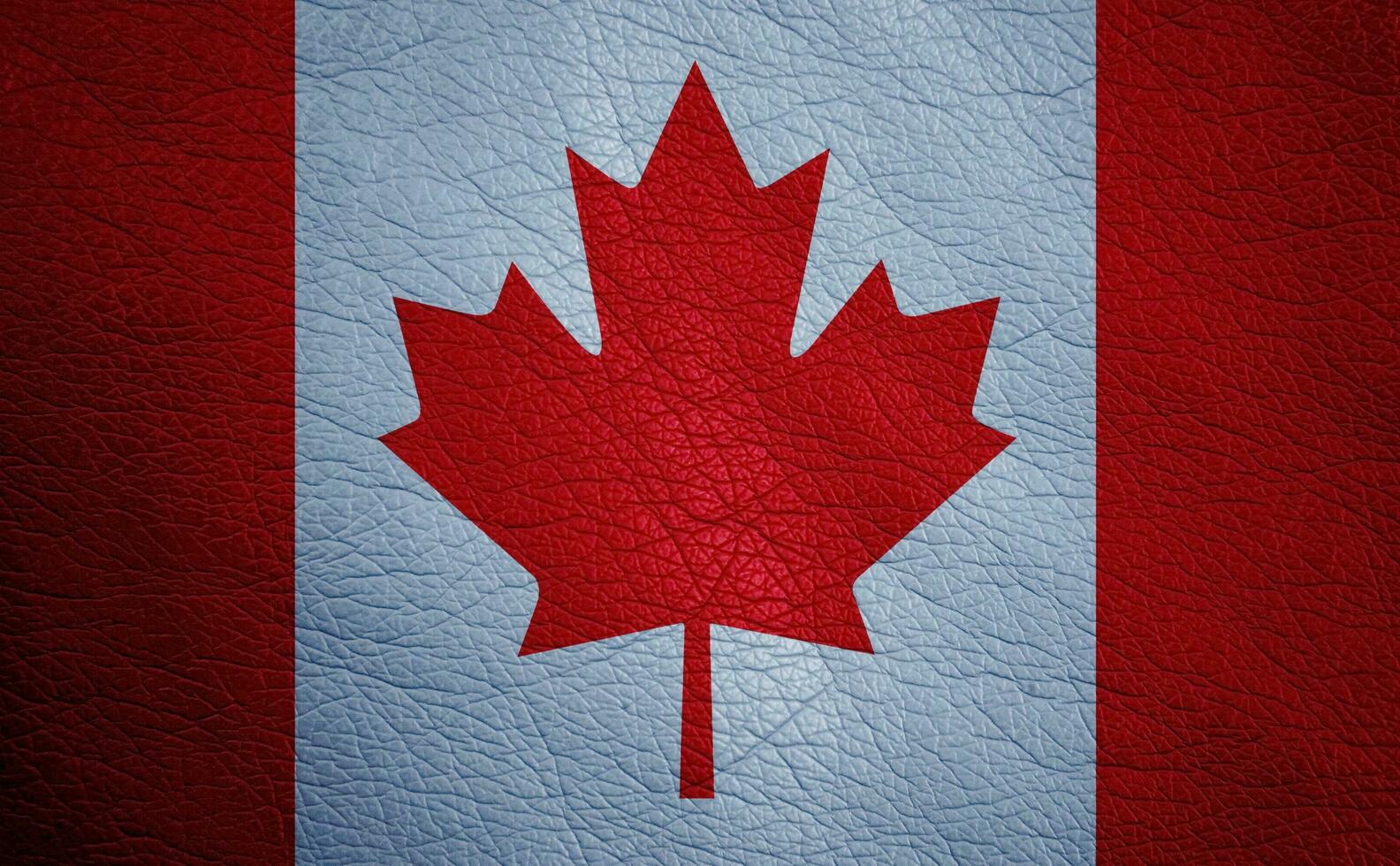 Leather textured flag photo