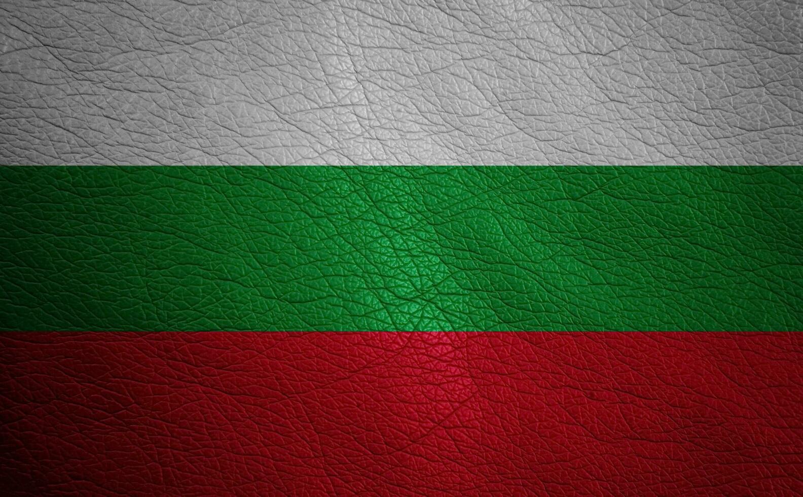 Leather textured flag photo