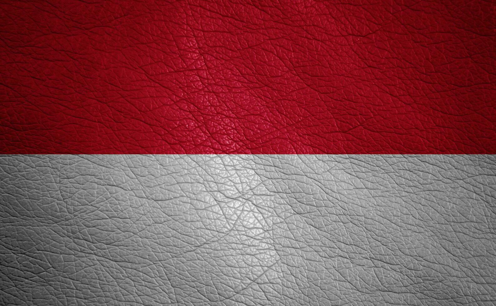 Leather textured flag photo