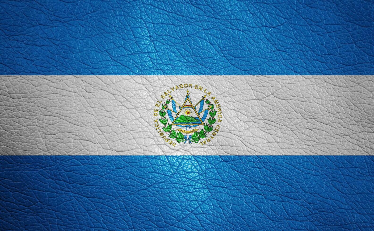 Leather textured flag photo