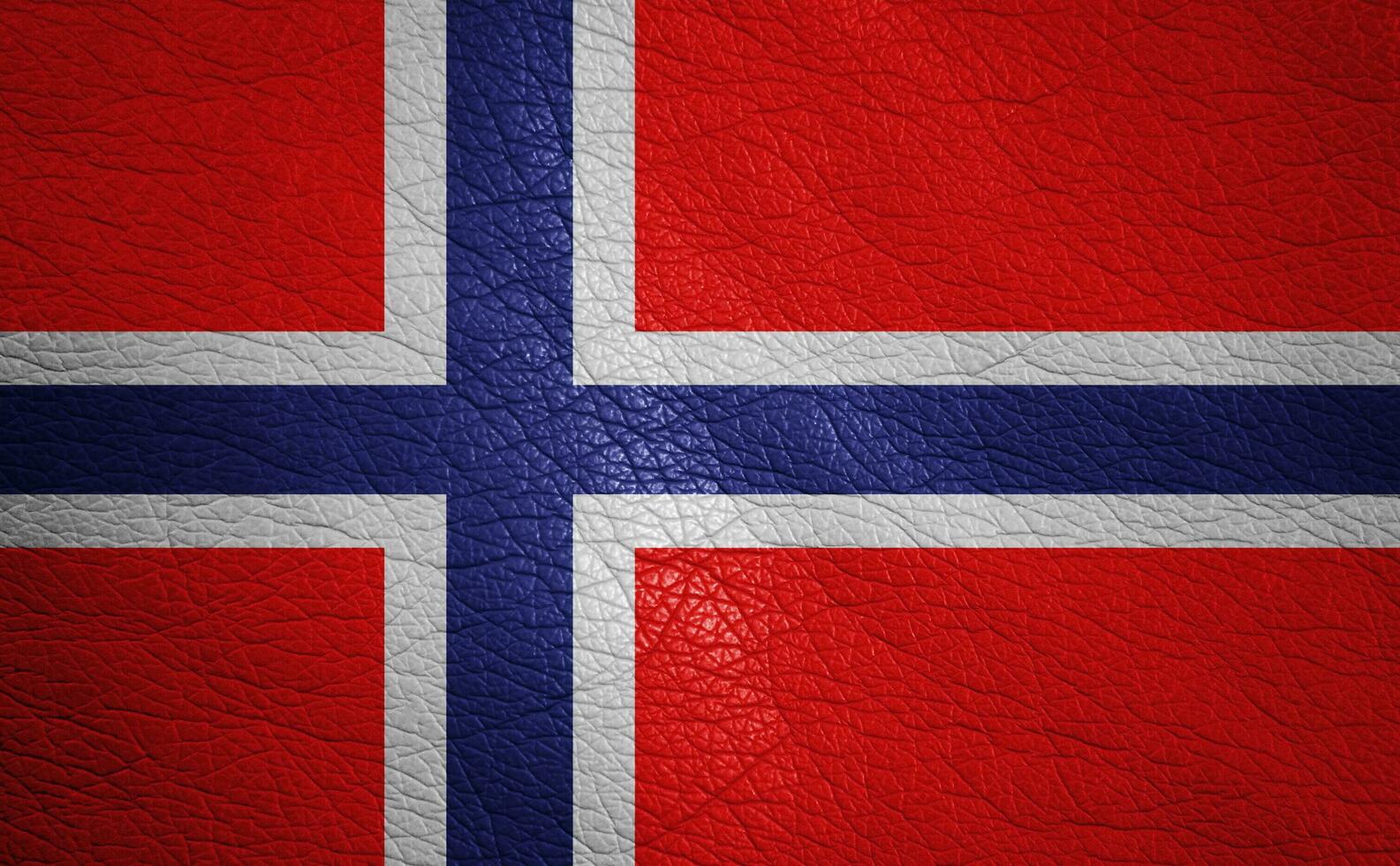 Leather textured flag photo