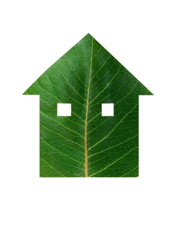 leaf house on white photo