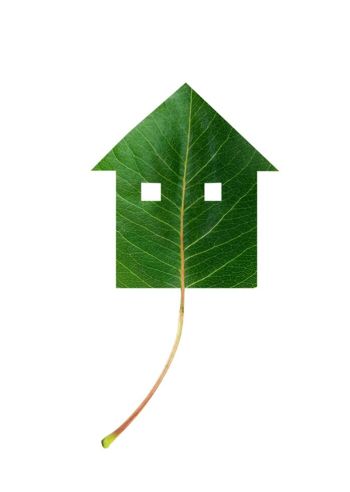 leaf house on white photo