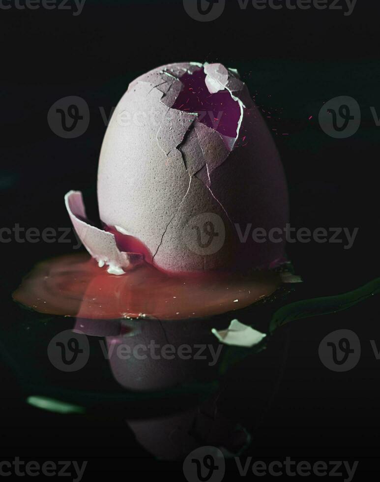 fresh broken egg with yolk sticking out on black background photo