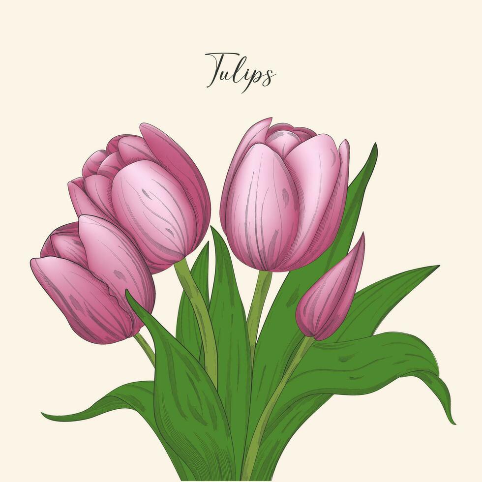 Hand drawn set of delicate open and closed tulip flowers, sketch style vector illustration isolated on white background. Realistic hand drawn tulip flowers, decoration element.