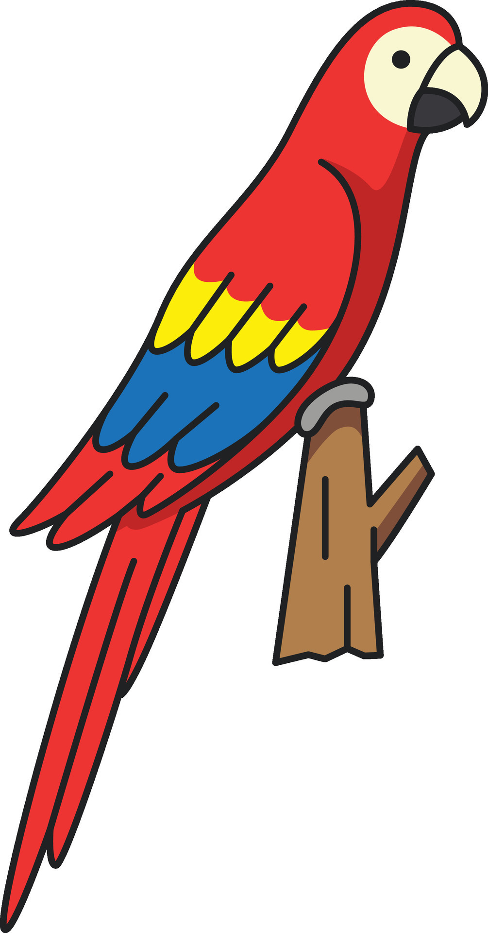 Parrot icon. Cartoon illustration of parrot vector icon for web ...