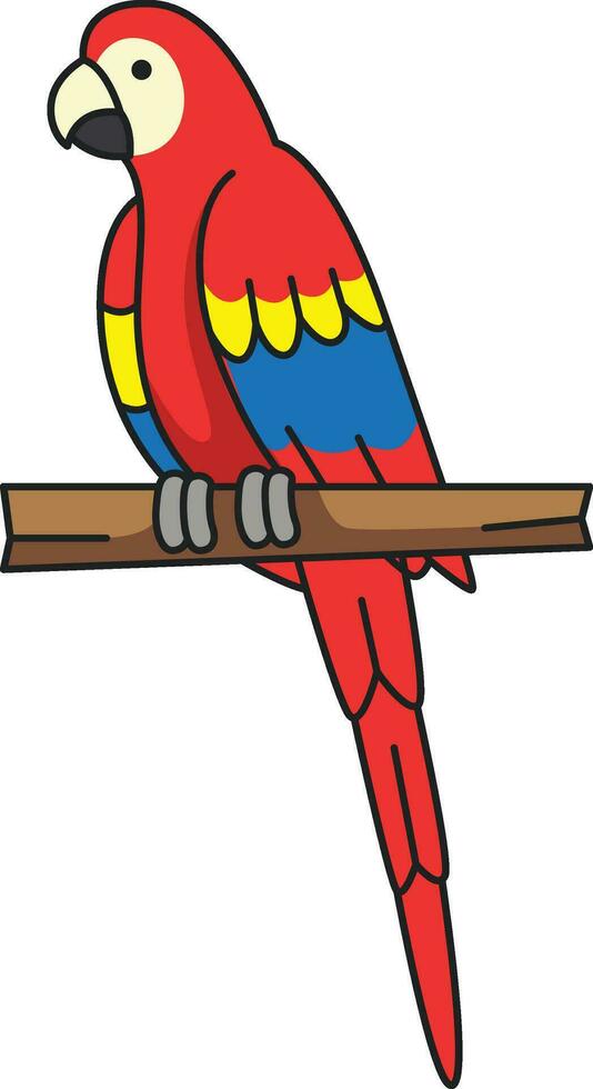 Parrot icon. Cartoon illustration of parrot vector icon for web