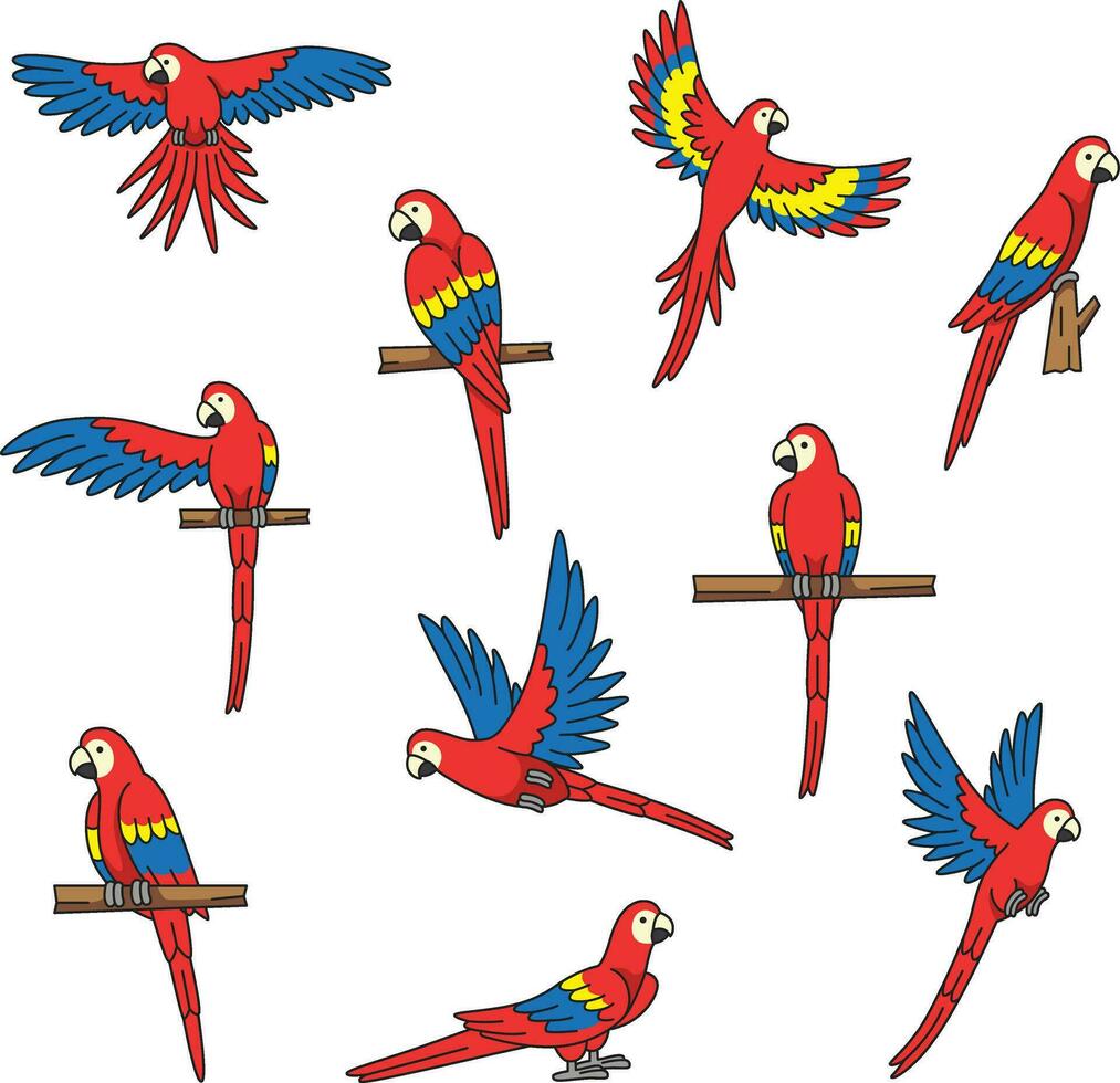 cute and simple parrots illustration vector