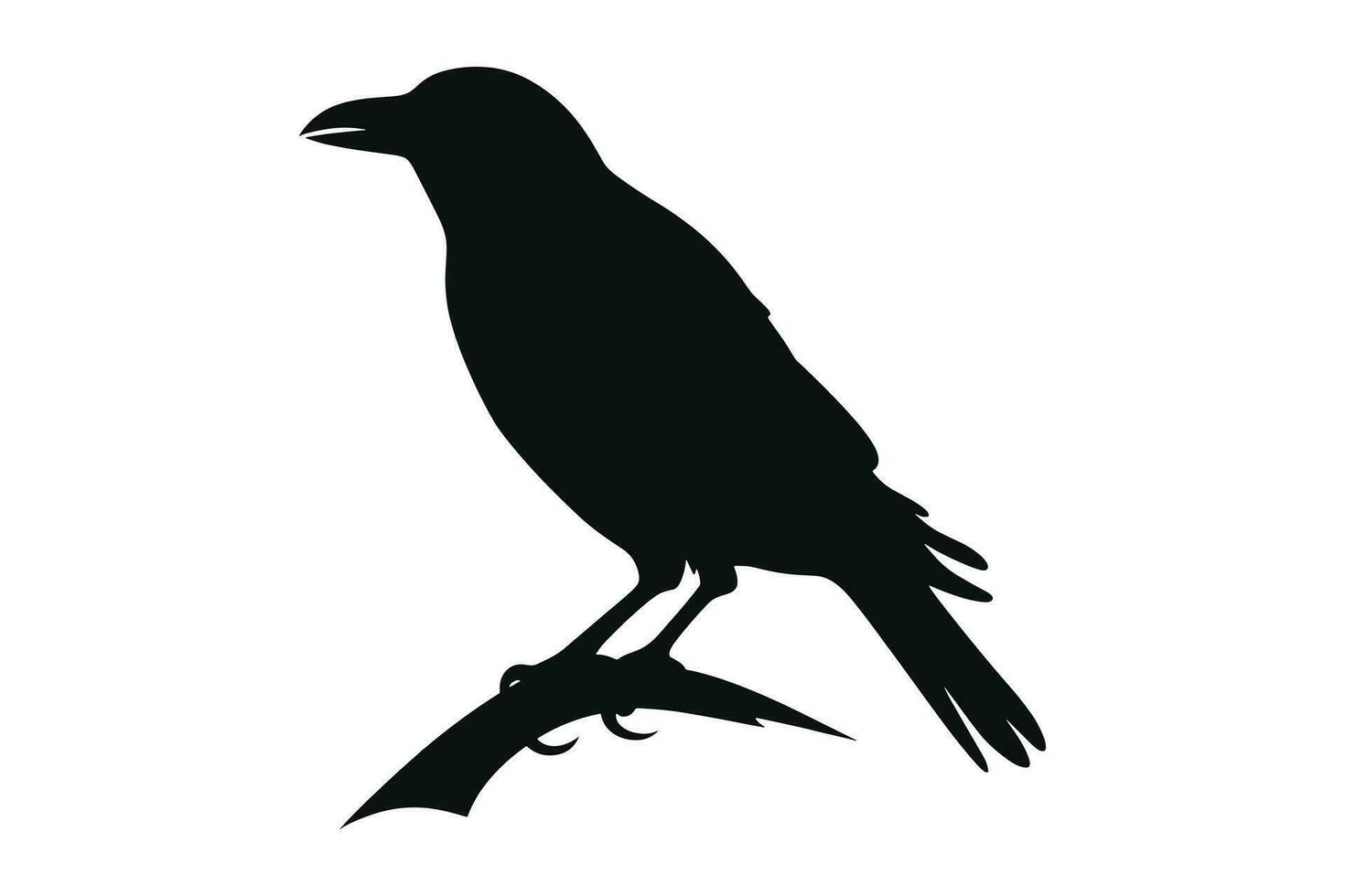 crow sitting vector silhouette isolated  VectorPrint
