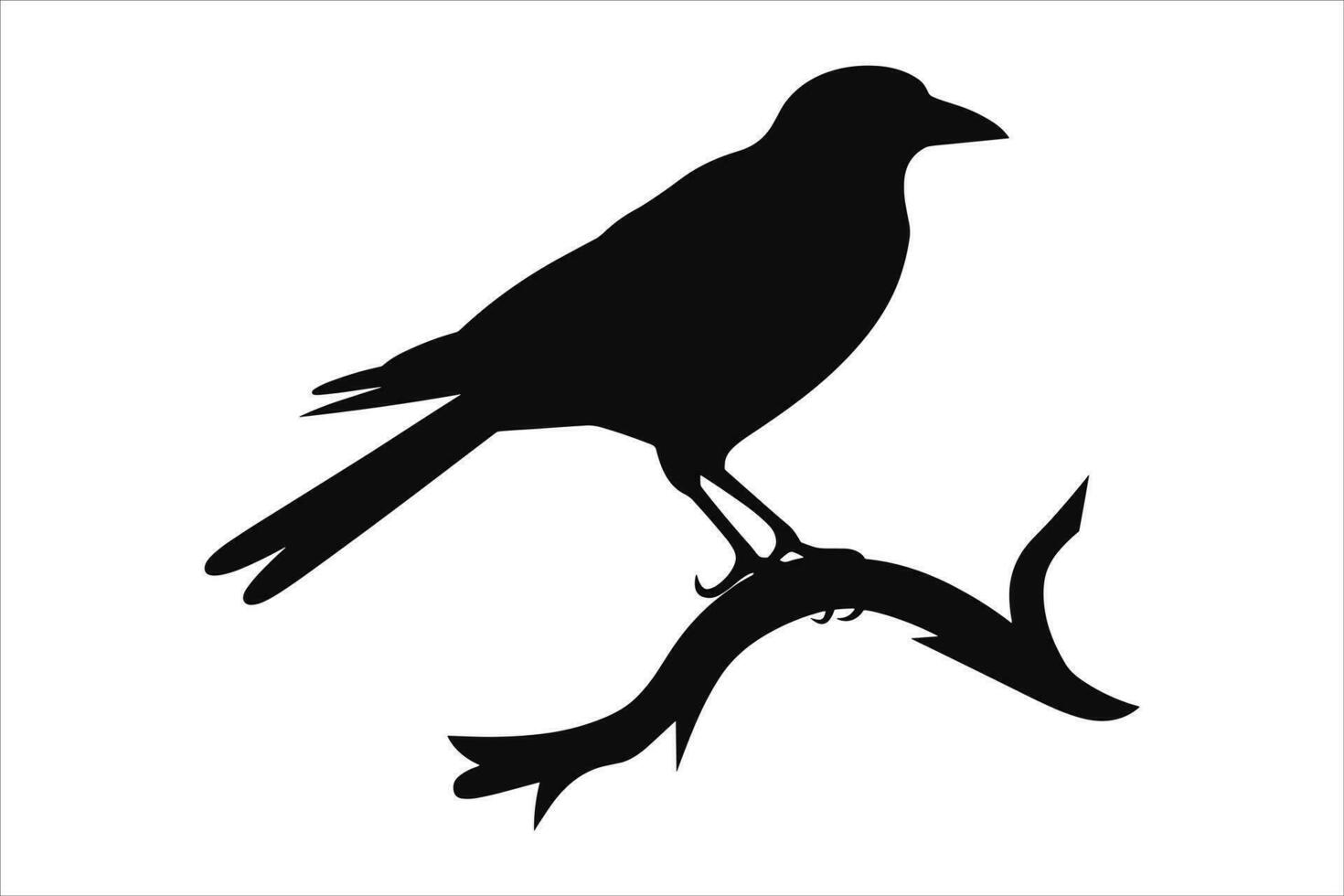 crow sitting vector silhouette isolated  VectorPrint