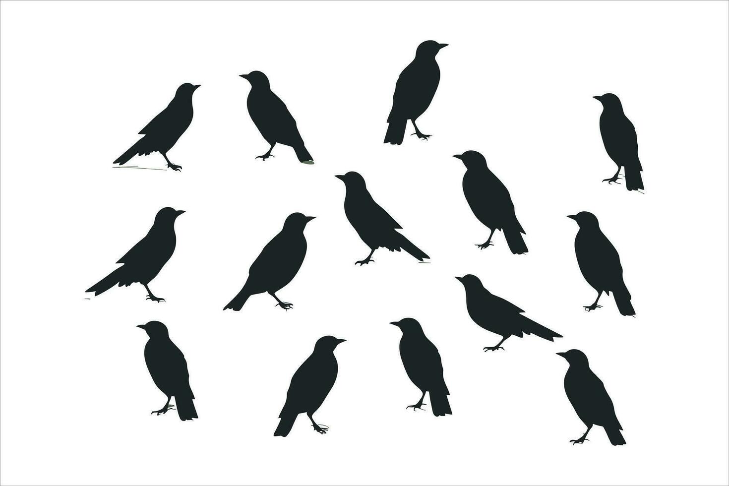 cuervo sentado vector silueta aislado impresión vectorial