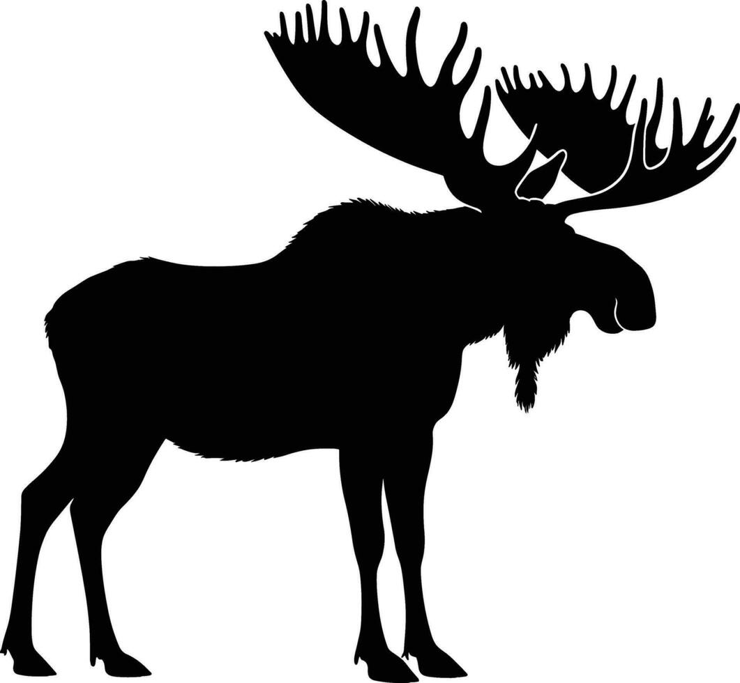 Moose silhouette vector illustration.