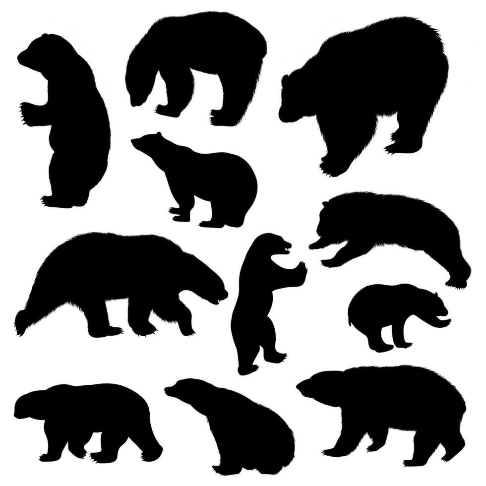 colección de silueta ilustraciones de polar oso vector