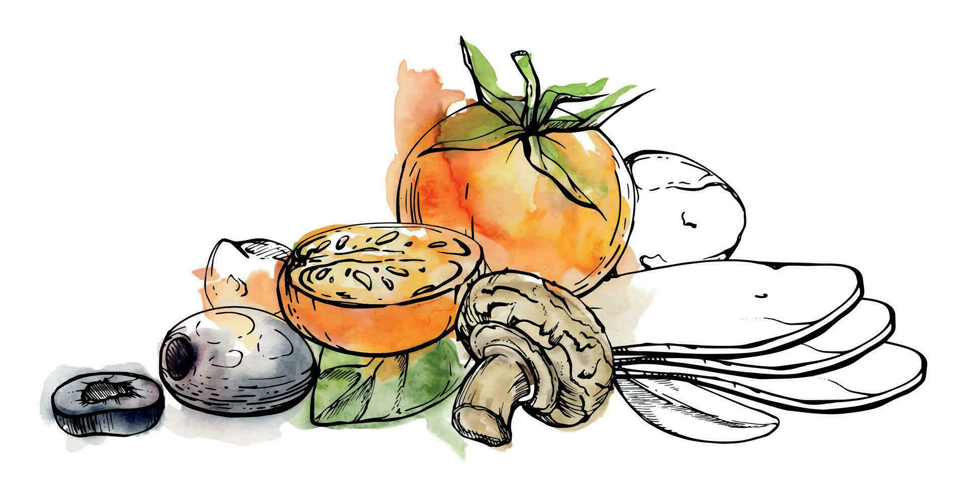 Hand drawn watercolor ink illustration. Tomato champignon mozzarella cheese basil herb leaves fresh products. Composition isolated on white. Restaurant menu, cafe, food shop or package, flyer, print vector