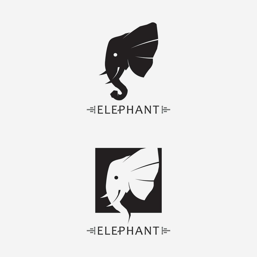 elefante logo vector ilustrador plantilla de diseño