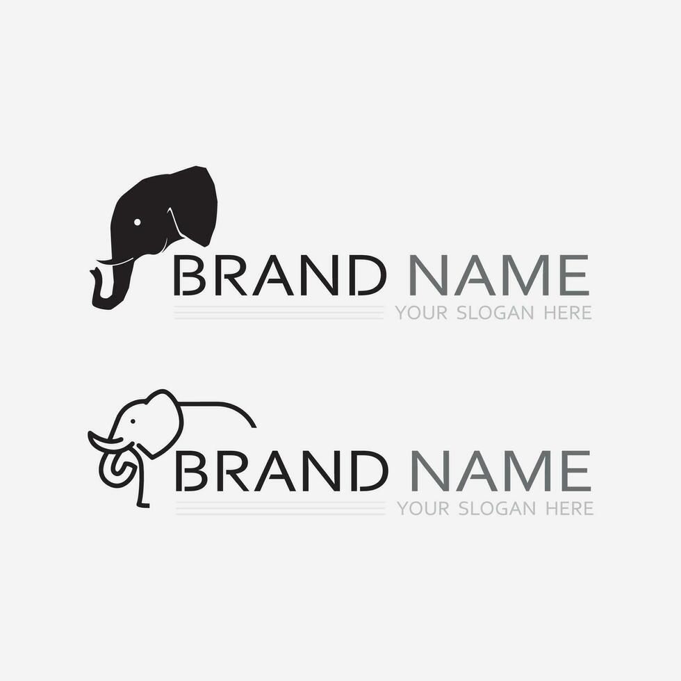 elefante logo vector ilustrador plantilla de diseño