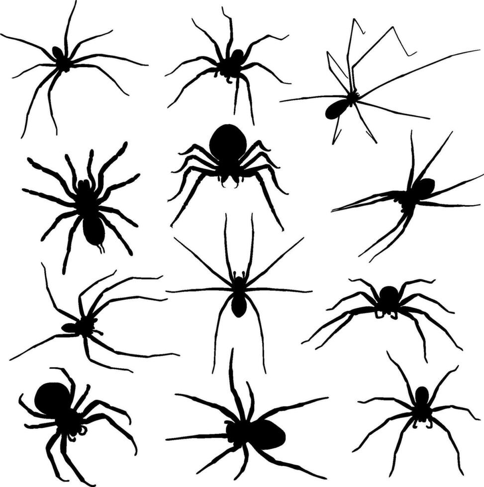 araña silueta en diferente poses vector