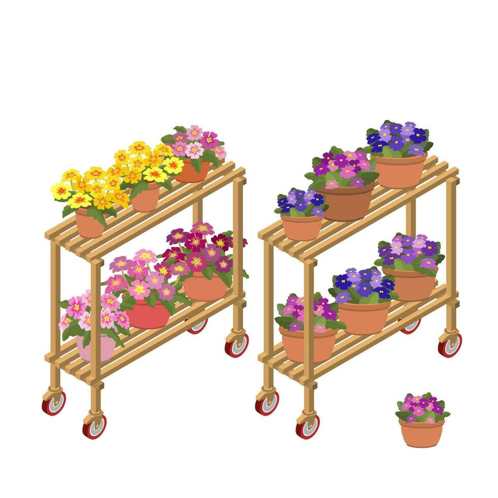 Houseplants in flowerpots are on a rack. Isometric 3D vector. vector