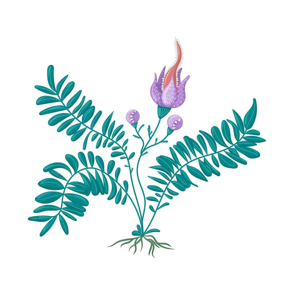 Fantasy fern flower botanical illustration. Isolated vector illustration. For halloween, for games, for design