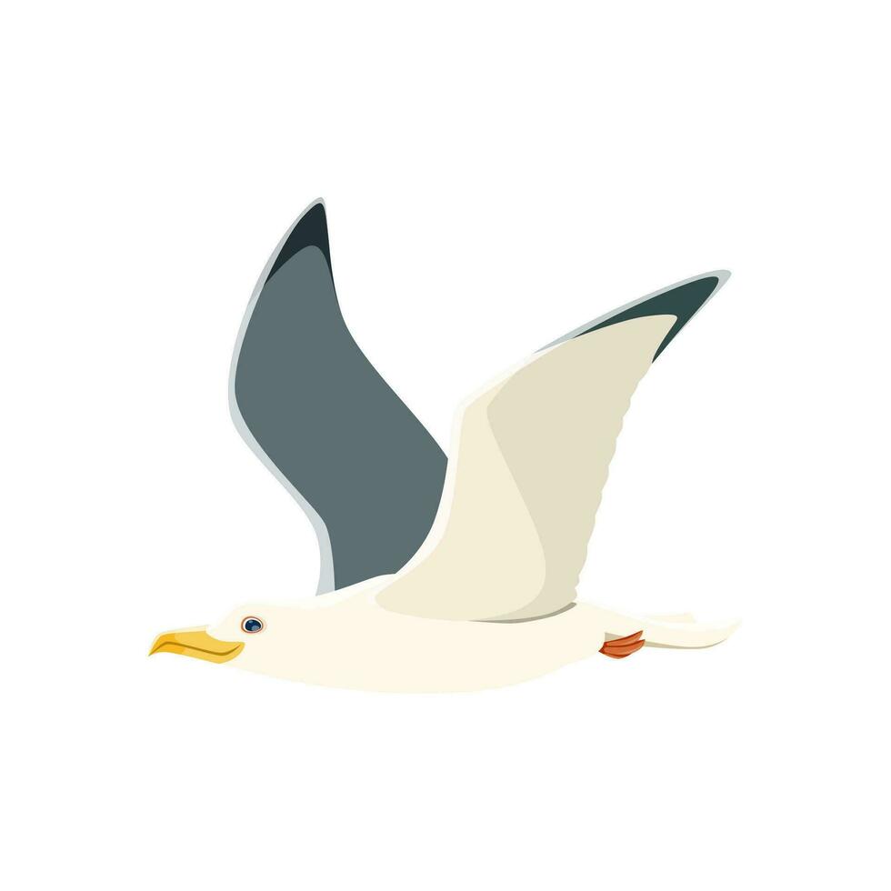 Cartoon seagull, vector graceful and agile bird