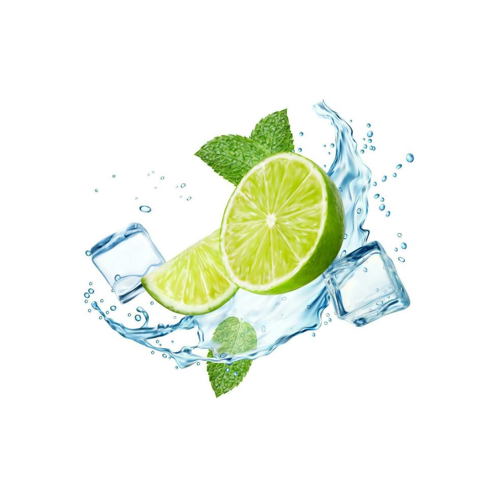 Mojito, ice cubes, lime, splash and mint leaves vector