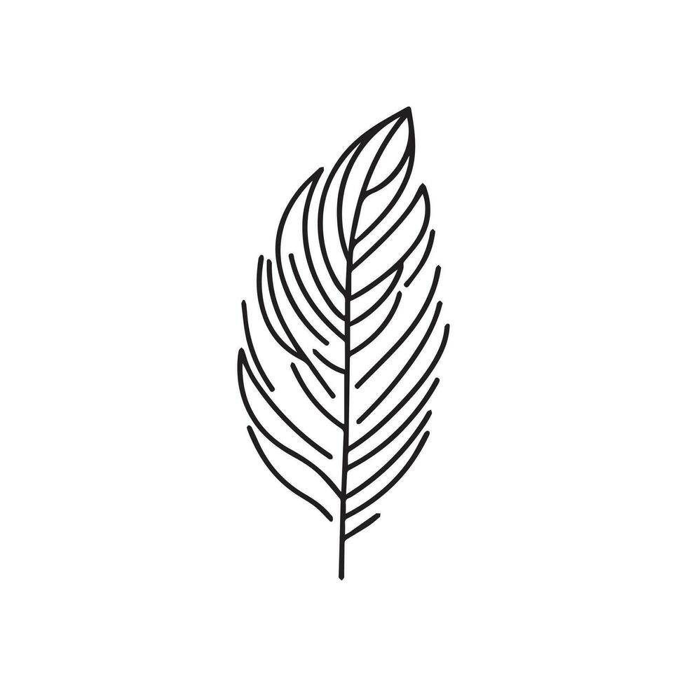 Minimalistic Black Line Art Illustration of a Tropical Leaf on White Background vector