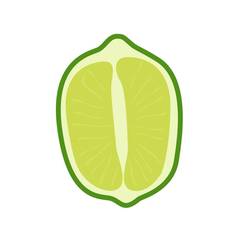 Vector flat style set of lime. Whole key lime, sliced, cutted in half and citrus wedges. Composition of fruit slices. Delicious juicy citron for cocktails.