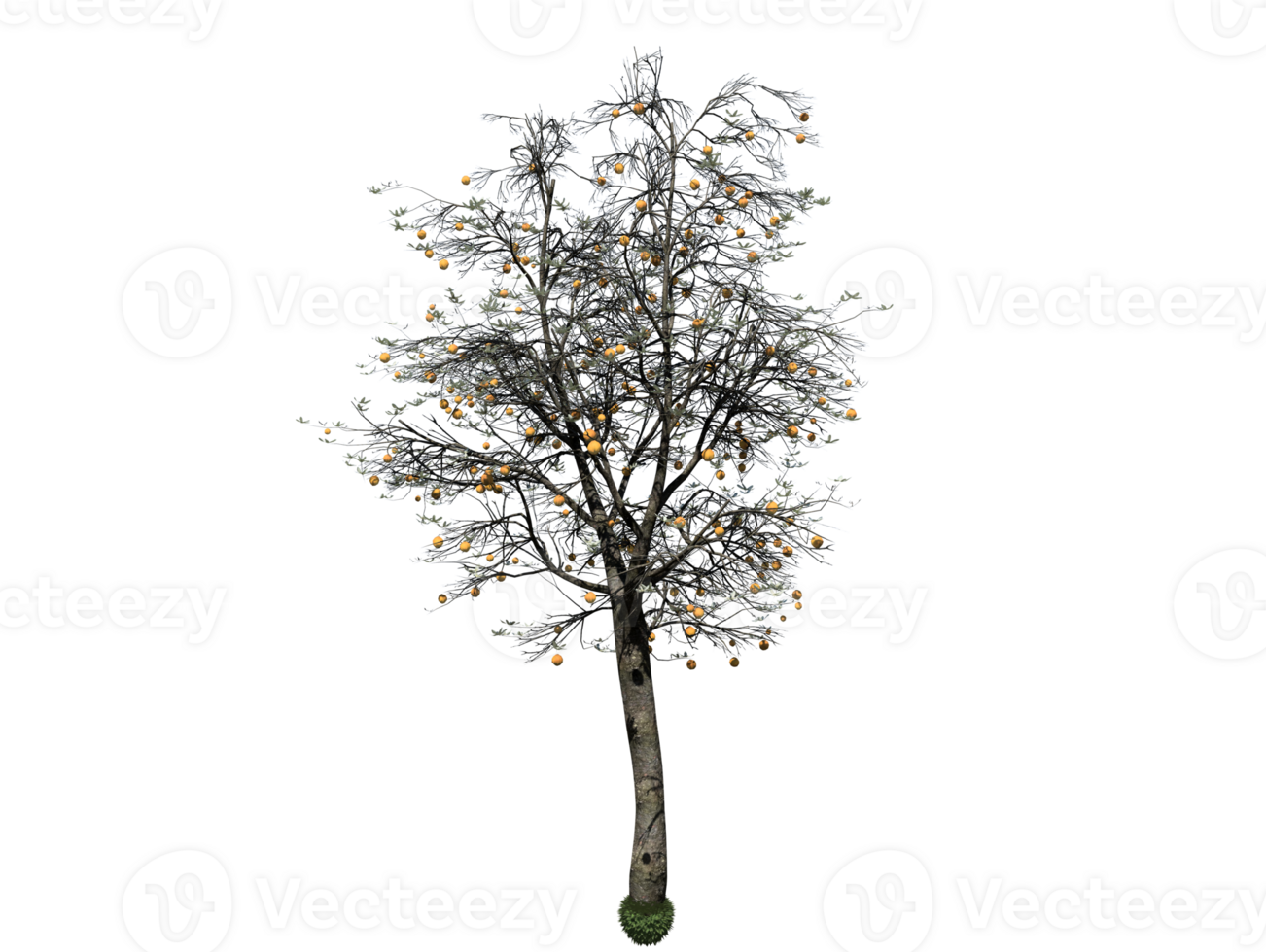 Orange tree high transparent image 36353812 PNG