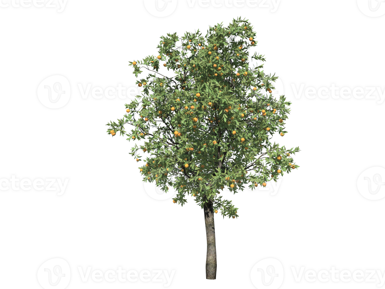 Orange tree high transparent image 36353817 PNG
