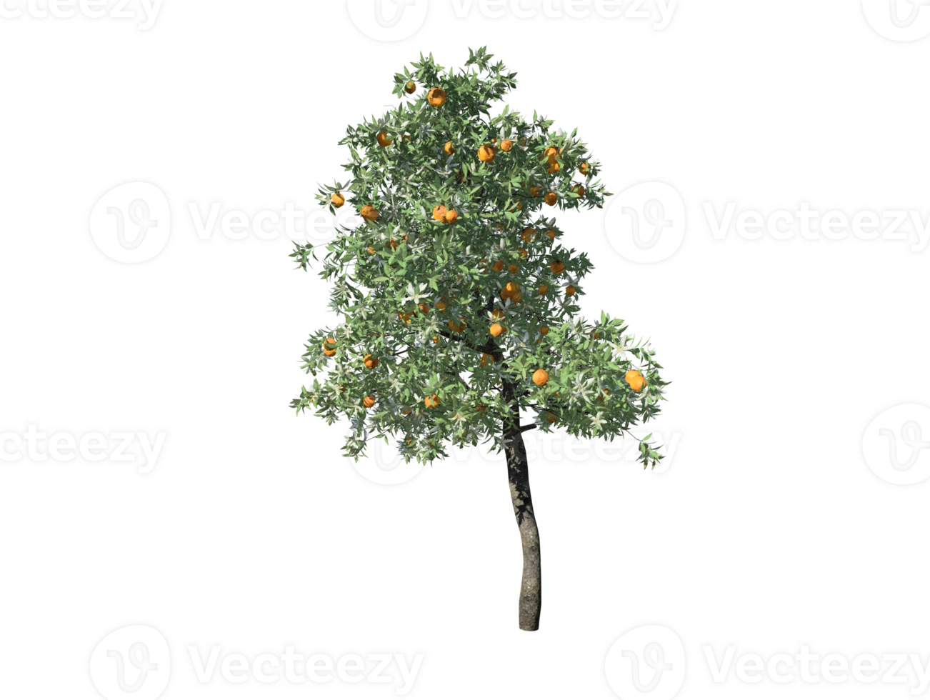 Orange tree high transparent image 36353825 PNG