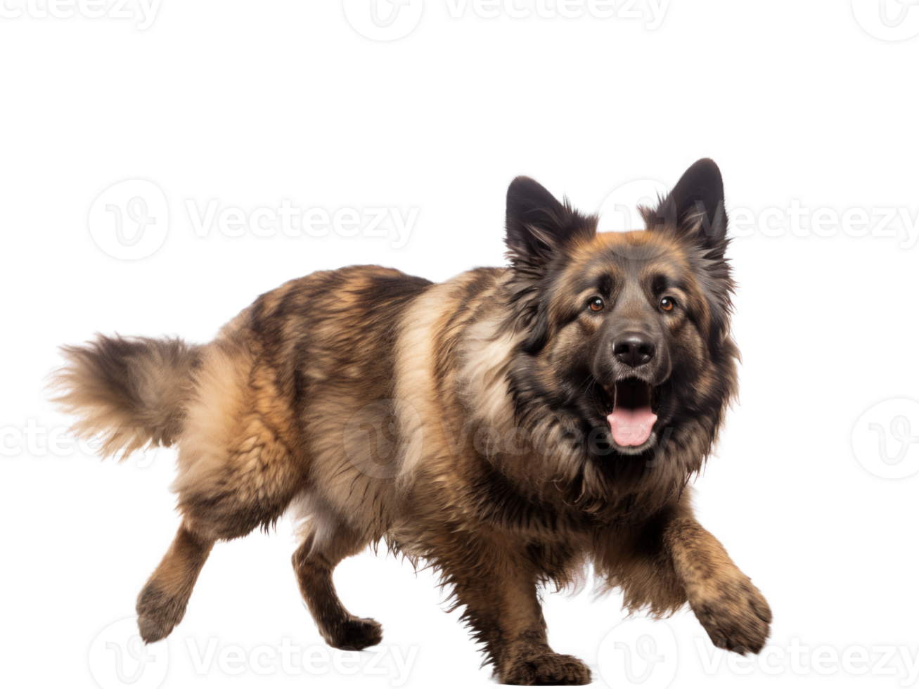 AI generated Happy Caucasian Shepherd Dog on Transparent Background png